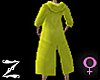 Z:Yellow Coat
