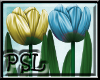 PSL Tulip Enhancer