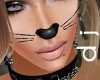 [DJ] Kitty Whiskers