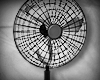 electric fan