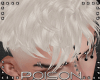 |P| Alvin Blonde