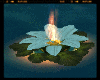 The Island Flowers Fire