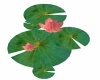 *RD* Romantic Lily Pads
