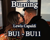 Burning_Lewis