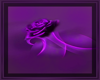 purple rose 2