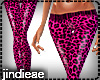[AE]_LeopardPant_Pink