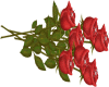 Red Roses