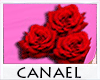 [CNL]Roses dress unisex