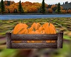 Crate Of Pumpkins
