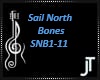 Bones
