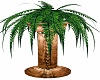 Bronze Potted Fern