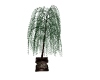 [AD] Decor Plante