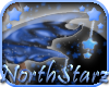 NorthStarz Fairy Wings