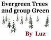 Evergreen Trees Grp 2