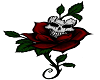 Rose Skull Capr