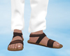 Sandals |brown