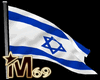 Israeli Flag