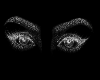 derived30179103