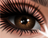 ✦ Royal Brown Iris ✦