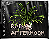 Rainy Afternoon > plant
