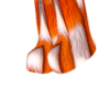 LuxVLux FoxxyFur Boots