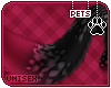 [Pets] Ziro | tail v1