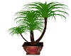 LL~CHRISTMAS B.R. PLANT
