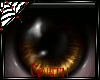 *G* Wish Y (F)