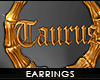 ! hoop earrings . taurus