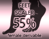 Foot Scaler 55%