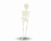 Ghost Skeleton Avatar