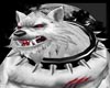 -White Evil Wolf Bundle-