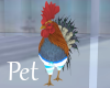 Summer Beachwear Rooster