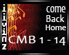 Come Back Home -2ne1