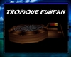 {DS}Tropique FunFan