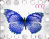 [CCQ]Animated Butterflie