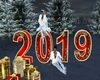 New Year 2019 Photo Pose
