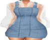 Leigh Blue Denim Dress