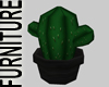MLM Potted Cactus Plant