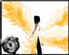 Golden Angelic Wings