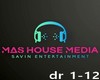 swedish house mafia