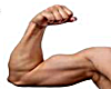 Musculo ~ Resizer 110