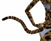 Animated Cat Tail Tiger