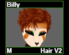 Billy Hair M V2