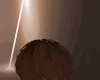 Hair - NP