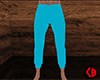 DRV Sweatpants (M)