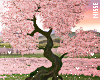 n| Mother Tree Pink