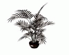 brown Palm vase