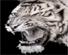 Guard tiger sticker