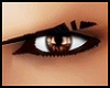 Magnetic Brown